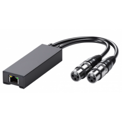 Analog to Dante Network...