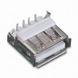 USB 2.0 A female connector....